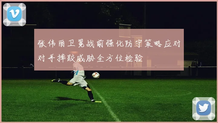 张伟丽卫冕战前强化防守策略应对对手摔跤威胁全方位检验